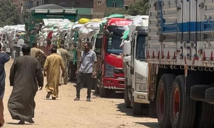 محافظ المنوفية يراقب عملية توريد القمح ويعلن استلام 105 ألف طن محافظ المنوفية يراقب عملية توريد القمح ويعلن استلام 105 ألف طن