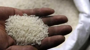 ما هو سعر الطن؟ .. أسعار الأرز اليوم، الاثنين 9 يونيو 2025 في الأسواق