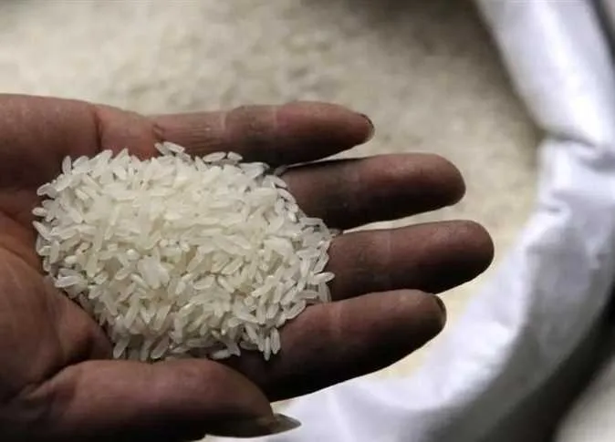 ما هو سعر الطن؟ .. أسعار الأرز اليوم، الاثنين 9 يونيو 2025 في الأسواق ما هو سعر الطن؟ .. أسعار الأرز اليوم، الاثنين 9 يونيو 2025 في الأسواق