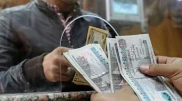 رسميًا: تاريخ توزيع معاشات يوليو مع الزيادة الجديدة