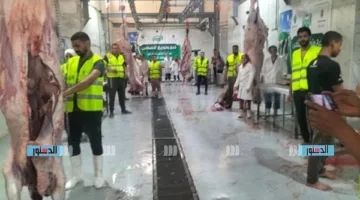 “التحالف الوطني” يجوب مدينة الأقصر لتقديم الأضاحي للأسر المحتاجة.