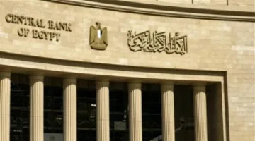 خبير اقتصادي يكشف فوائد زيادة تحويلات المصريين في الخارج إلى 26.4 مليار دولار خلال 9 أشهر