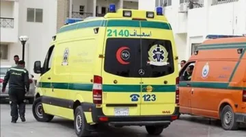 17 شخصًا يُصابون جراء انقلاب سيارة ربع نقل على الطريق الصحراوي بسمالوط شمال المنيا