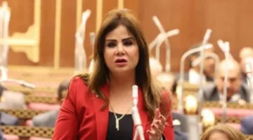 برلمانية: احتجاز السفينة “مادلين” فعل همجي يضاف إلى سجل الجرائم الاحتلالية