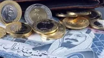 سعر الريال السعودي مقارنة بالجنيه المصري في تداولات اليوم