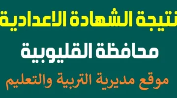 رابط نتائج الصف التأسيسي للفصل الدراسي الثاني 2025 في محافظة القليوبية وتفاصيل الاستعلام باستخدام رقم الجلوس والاسم من موقع مديرية التربية والتعليم بالقليوبية.