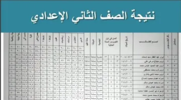 نتائج الصف الثاني الإعدادي للفصل الدراسي الثاني 2025 برقم الجلوس أو بالاسم من خلال بوابة التعليم الأساسي في محافظة القاهرة.