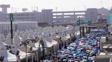 رئيس بعثة الحج: نقل حجاج القرعة الذين لم يستعجلوا من مشعر منى إلى مكة المكرمة