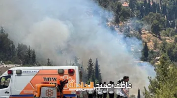 فيديو: 8 طائرات و35 فريق إطفاء يواجهون حريق غابات في عين كارم بالقدس المحتلة