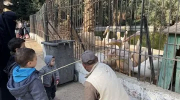 شركة تطوير حديقة الحيوان والأورمان: مبادرة استراتيجية تجمع بين الترفيه والتعليم.