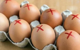 انتشار السالمونيلا في سبع ولايات أمريكية