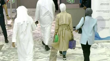 الشال: 83.6% من القوى العاملة في القطاع العام