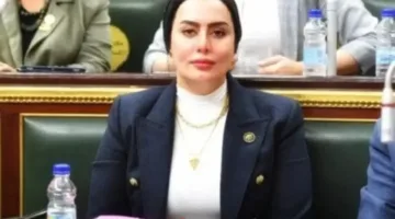 نائبة: توجيهات الرئيس السيسي بشأن الإيجار القديم تعكس تصوراً شاملاً ومتوازناً لمستقبل الإسكان في مصر