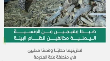 إلقاء القبض على اثنين يمارسان تخزين (84) م3 من الحطب والفحم بشكل مخالف لنظام البيئة في منطقة مكة
