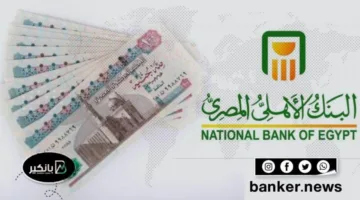 هل يمكن الحصول على بطاقات ائتمانية مقابل ضمان الشهادات البلاتينية في مصر؟