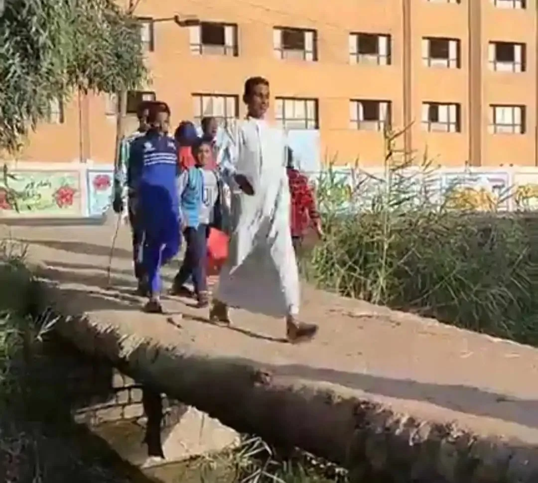 ضحايا على جسور غير موثوقة: الكباري المتهالكة وقطع النخيل على المصارف تقتل في المنيا. ضحايا على جسور غير موثوقة: الكباري المتهالكة وقطع النخيل على المصارف تقتل في المنيا.
