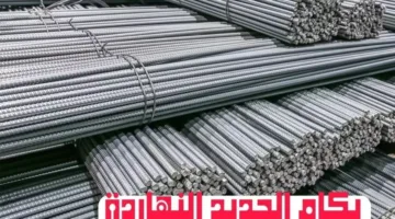 أسعار الحديد اليوم الثلاثاء 10 يونيو 2025: تراجع أسعار حديد عز في مصر