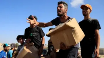 الأمم المتحدة: تم نهب أو استيلاء الجموع على معظم مساعدات الطحين الموجهة إلى غزة.
