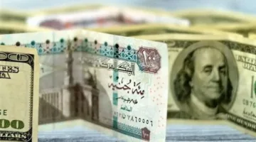 عاجل | أسعار الدولار اليوم الثلاثاء 10 يونيو 2025 في المصارف المصرية