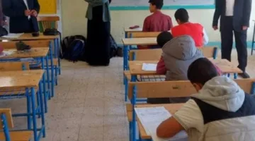 نتائج شهادة الإعدادية 2025 في محافظة الدقهلية.. رابط مباشر باستخدام رقم الجلوس