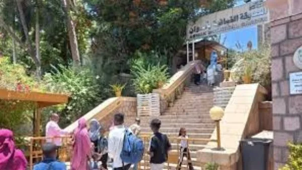 الحديقة النباتية في أسوان تستضيف 1500 زائر خلال عطلة عيد الأضحى المبارك. الحديقة النباتية في أسوان تستضيف 1500 زائر خلال عطلة عيد الأضحى المبارك.