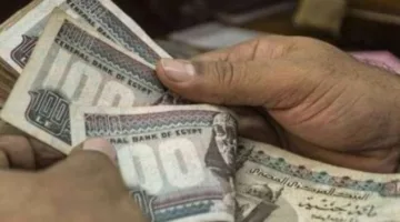 أسباب إنهاء الدعم المالي وفقًا للقانون الجديد
