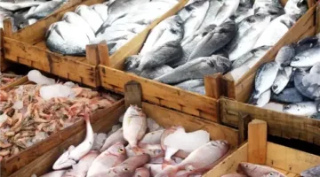 أسعار السمك والأطعمة البحرية في الغربية اليوم الثلاثاء 10 يونيو