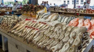 أسعار الأسماك والروبيان اليوم الثلاثاء 10 يونيو 2025
