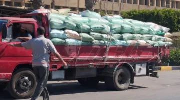 شون وصوامع كفر الشيخ تستقبل 223,157 طنًا و75 كيلوغرامًا من القمح المحلي.