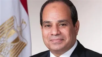 الرئيس السيسي يوافق على تغيير بعض مواد قانون مجلس النواب