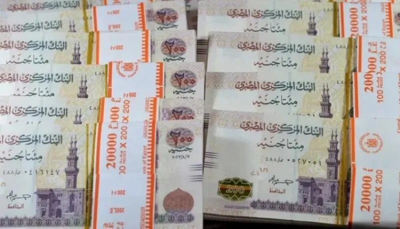 المركزي: ارتفاع السيولة المحلية إلى 12.218 تريليون جنيه بنهاية فبراير المركزي: ارتفاع السيولة المحلية إلى 12.218 تريليون جنيه بنهاية فبراير