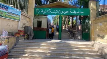 الزراعة: وضع استراتيجية للتخفيف من الازدحام عند مداخل حدائق الحيوانات وزيادة عدد نقاط الدخول لتيسير الدخول.