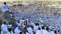 تنظيم جيد لتفويج حجاج القرعة إلى المدينة المنورة مع تسهيلات شاملة.