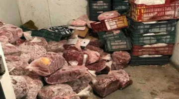 ضبط 3.5 طن من اللحوم والدواجن والأسماك غير مطابقة للمواصفات ومجهولة المصدر في محافظة الغربية