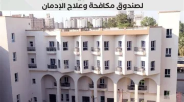 60425 مريضًا: إدارة مكافحة الإدمان توضح خدمات الدعم العلاجي للخط الساخن للصندوق