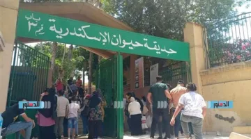 “الزراعة”: حدائق الستة تستقبل أكثر من 103 آلاف زائر خلال عيد الأضحى
