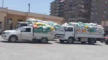 توصيل 223,157 طن من القمح إلى صوامع وشون كفر الشيخ
