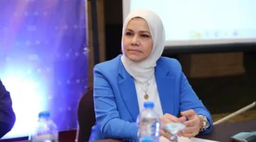 الضرائب: يجب على الممولين والمكلفين إصدار إيصالات ضريبية إلكترونية في بيئة التشغيل الفعلي.
