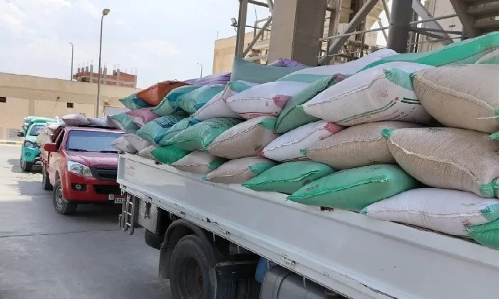 منذ انطلاق موسم الحصاد.. شون وصوامع البحيرة تستقبل 307 أطنان من القمح من المزارعين منذ انطلاق موسم الحصاد.. شون وصوامع البحيرة تستقبل 307 أطنان من القمح من المزارعين