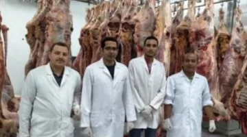 بيطري الوادي الجديد: إتمام ذبح 875 رأساً في إطار مشروع صكوك الأضاحي