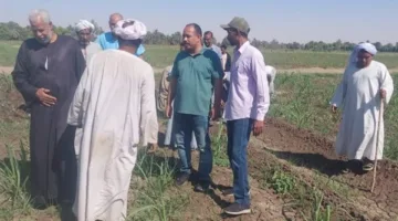 مدير معهد بحوث الإرشاد الزراعي يزور الفعاليات الإرشادية لدعم مزارعي منطقة كوم أمبو