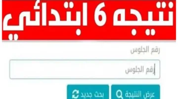 عاجل | نتائج امتحانات الصف السادس الابتدائي باستخدام رقم الجلوس