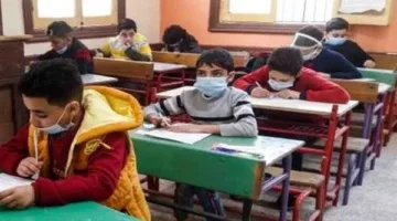 كيفية الحصول على نتائج سنوات النقل 2025 في محافظة القاهرة؟ التفاصيل موجودة هنا.
