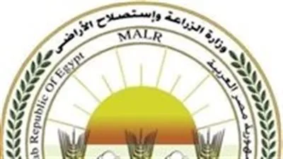 جهود وزارة الزراعة في تلبية احتياجات المواطنين خلال عيد الأضحى 2025 جهود وزارة الزراعة في تلبية احتياجات المواطنين خلال عيد الأضحى 2025