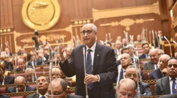 نائب برلماني: إطلاق منصة إصدار تراخيص الاستثمار الإلكترونية لدعم النمو الاقتصادي الوطني