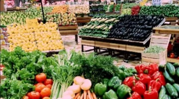 أسعار الفواكه والخضروات في أسواق أسيوط بتاريخ الثلاثاء 10 يونيو 2025