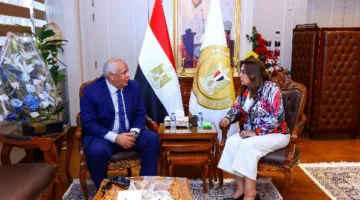 وزيرة التنمية المحلية تراقب تقدم المشروعات التنموية والخدمية في الوادي الجديد