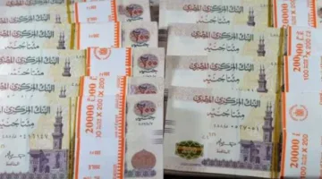 المركزي: زيادة السيولة المحلية إلى 12.218 تريليون جنيه بنهاية فبراير