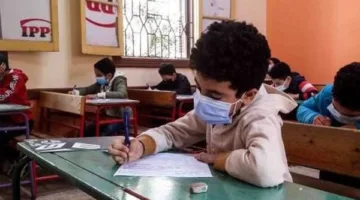 امتحانات الصف السادس الابتدائي 2025 بالرقم القومي: تعرف على التفاصيل الآن عبر بوابة التعليم الأساسي