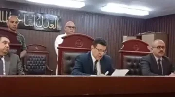 تأجيل جلسة محاكمة والدين متورطين في الاعتداء على ابنتهما وتخديرها بشبرا الخيمة